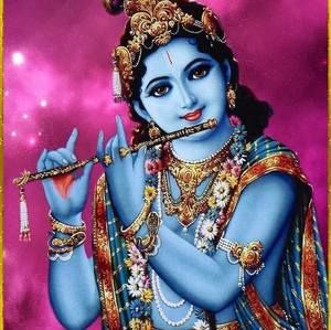 Meet your Posher, Bhavana